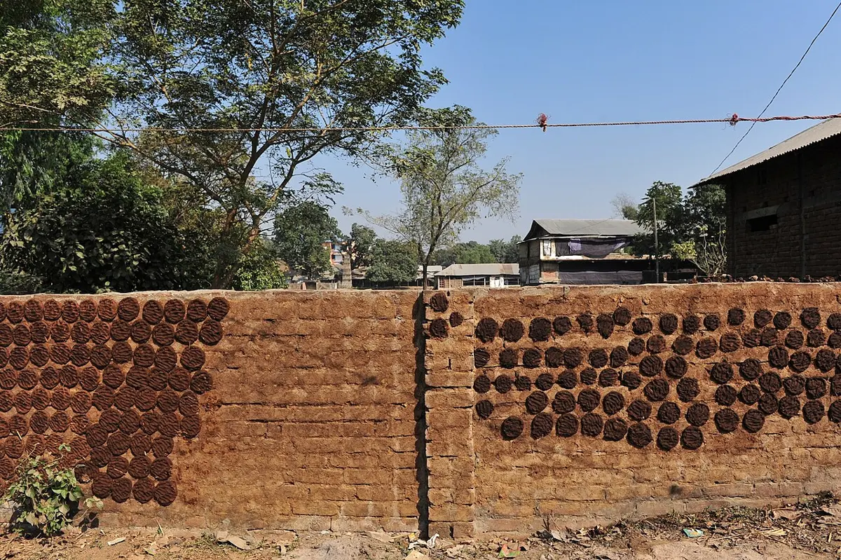 A long mud wall in the sun, covered with rows of round, dark dung cakes stuck on to dry