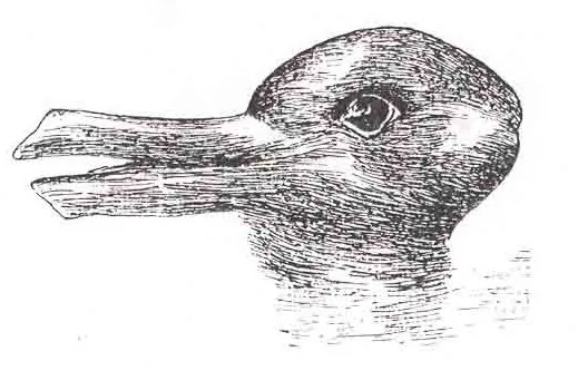 A drawing that looks like a duck facing left or a rabbit facing right