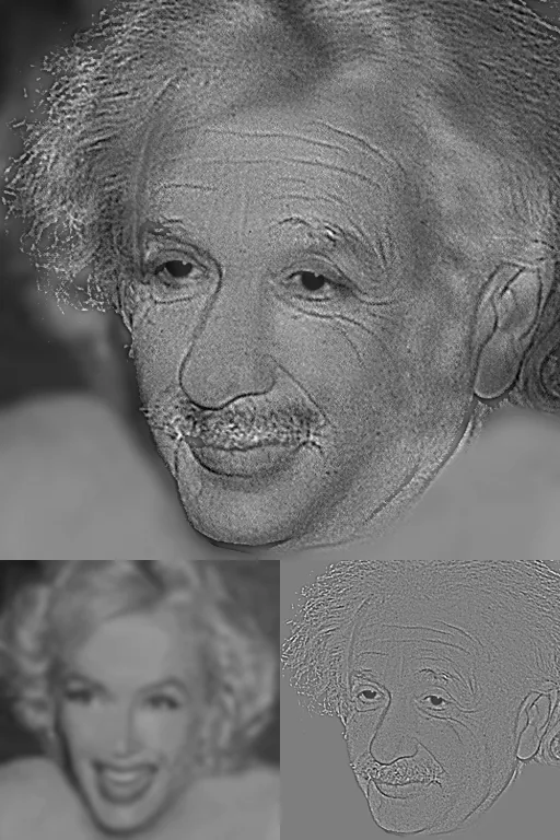 A face that looks like Albert Einstein up close and Marilyn Monroe from far away