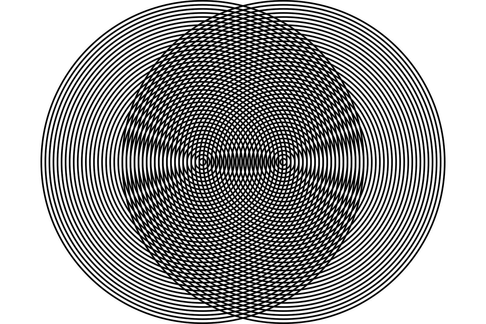 Two overlapping sets of thin black rings, with large dark curves where they cross