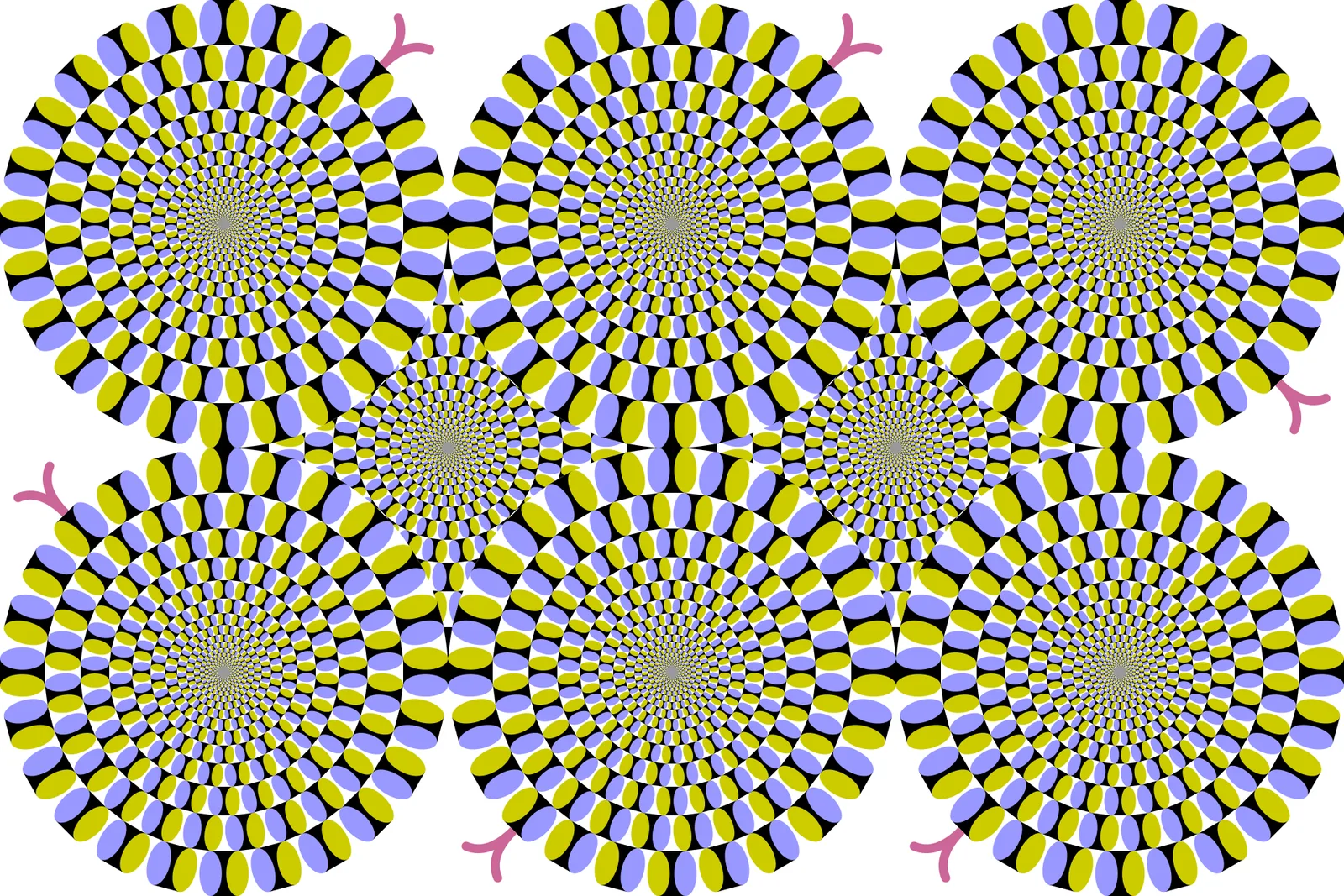 Seven discs of rings in black, blue, white and yellow on black
