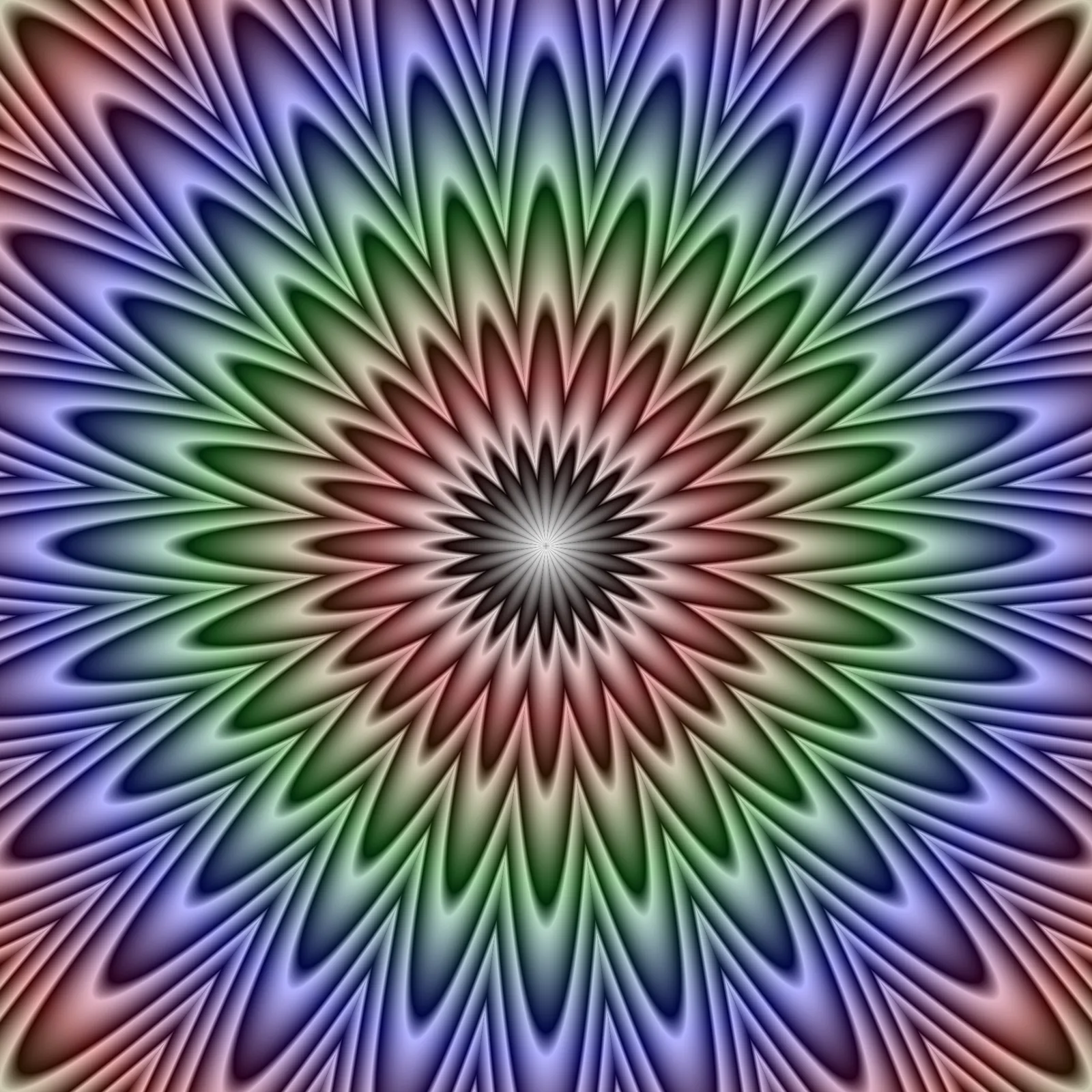 Rings of pointed petals in many colors around a dark middle, each shading from dark to light