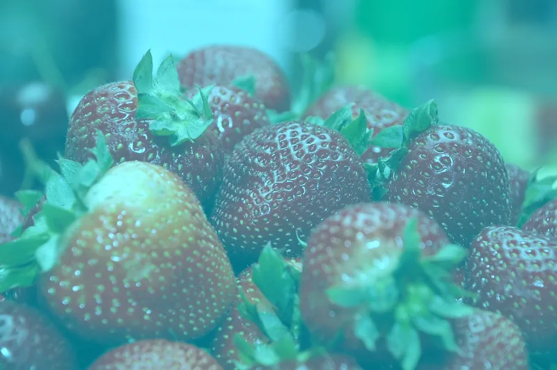 A photo of strawberries with a strong blue-green tint
