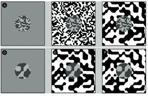 The same gray disc on plain gray, and on black and white patterns of two strengths
