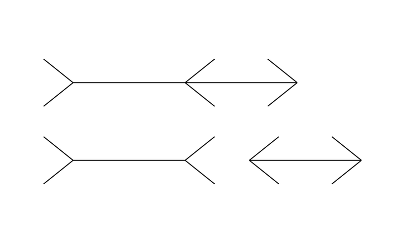 Lines of the same length, some ending in arrowheads pointing out and some in arrowheads pointing in