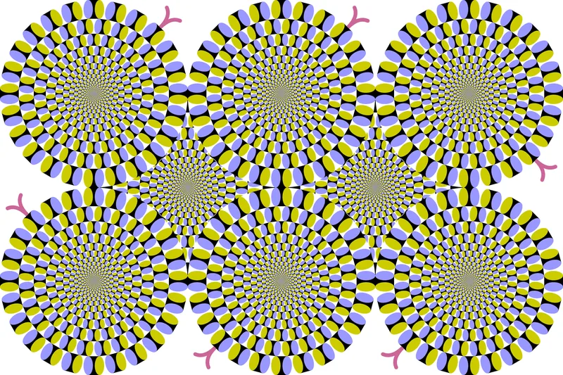 Seven discs of rings in black, blue, white and yellow on black