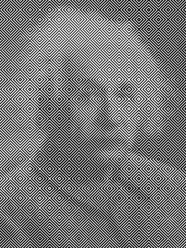 A maze of black and white zigzag lines