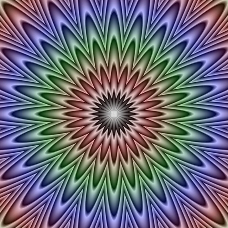 Rings of pointed petals in many colors around a dark middle, each shading from dark to light