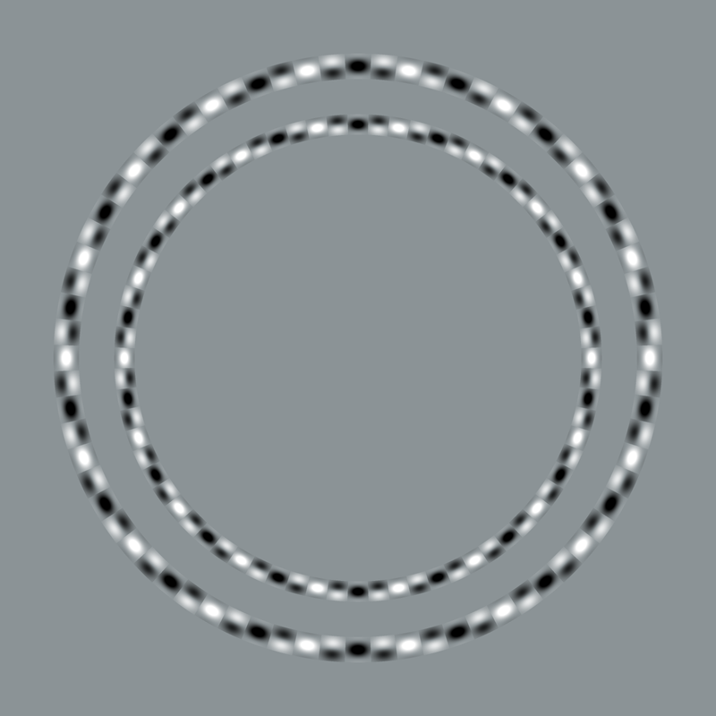Two rings of soft black and white blobs on gray, close together