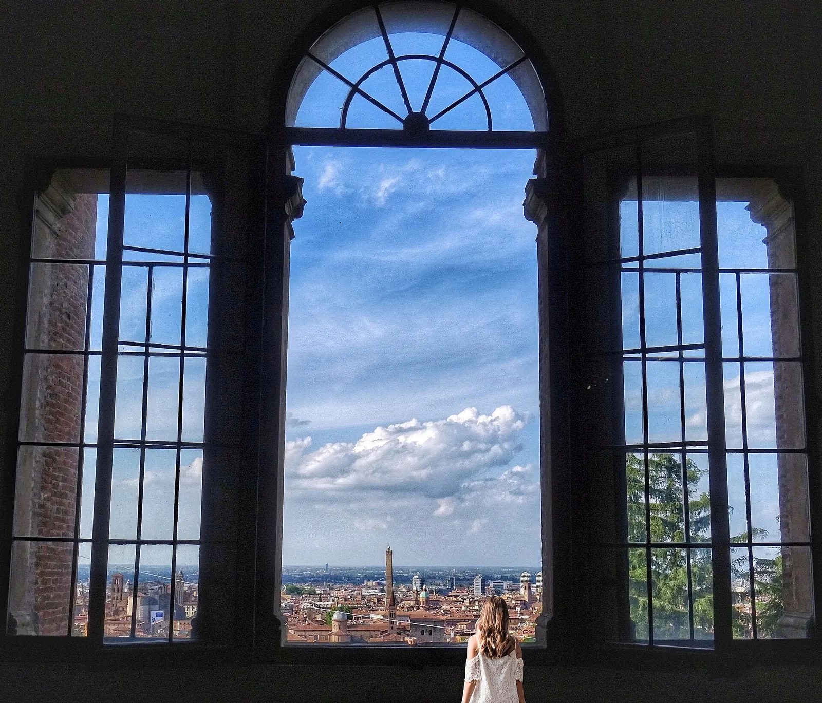A tower in Bologna seen far away through a big window