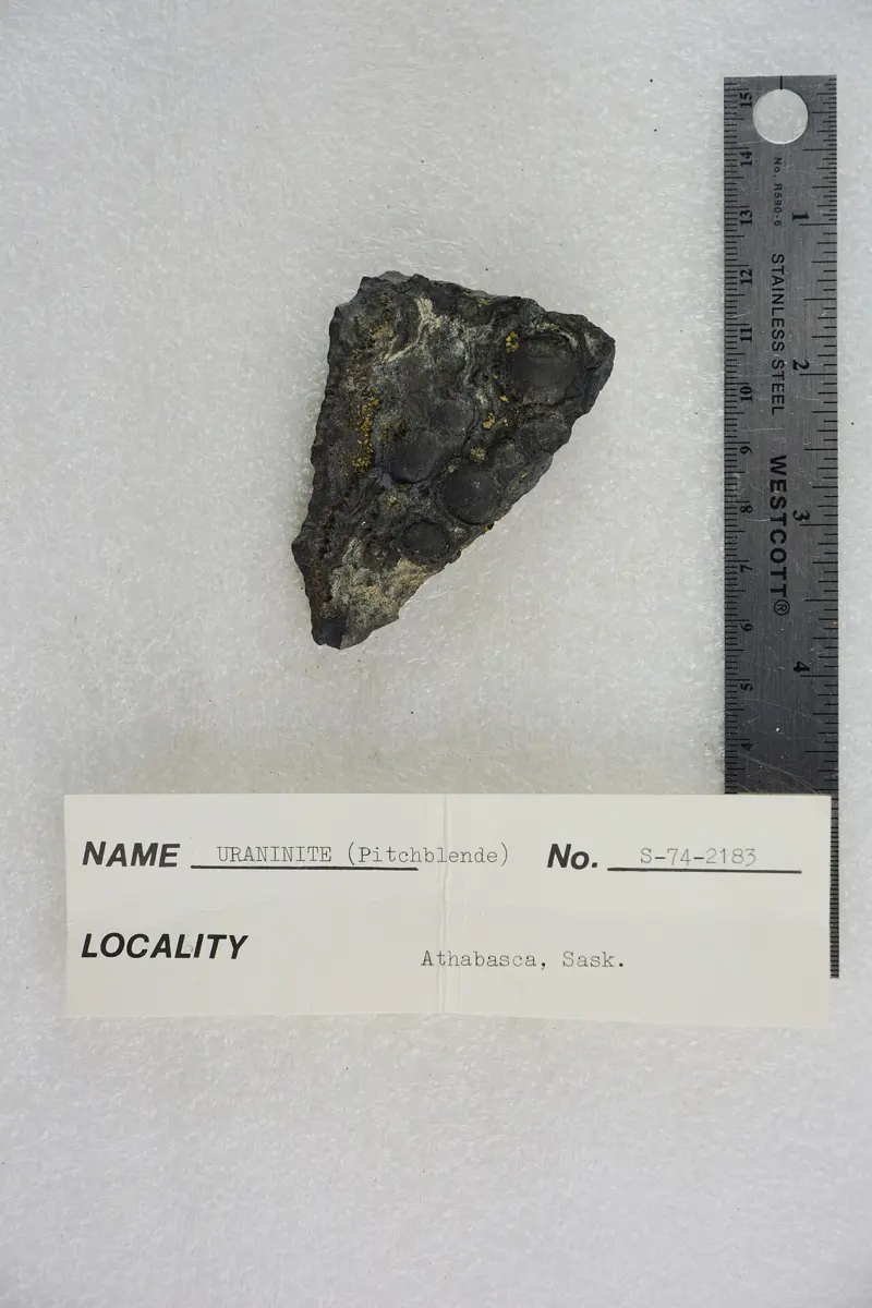 A dark gray, almost black triangular lump of rock with rounded bumps and pale streaks, next to a steel ruler, about 7 cm across, above a museum label reading Uraninite (Pitchblende), Athabasca, Sask.
