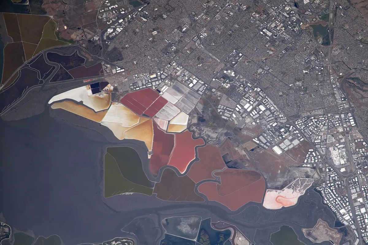A view from space of a bay edged with ponds in many colors, from white and pale orange to deep red and purple, beside a city