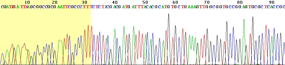 A row of tall, narrow peaks in green, blue, black and red, with the letters of a DNA sequence printed above them in the same colors, numbered 10 to 90