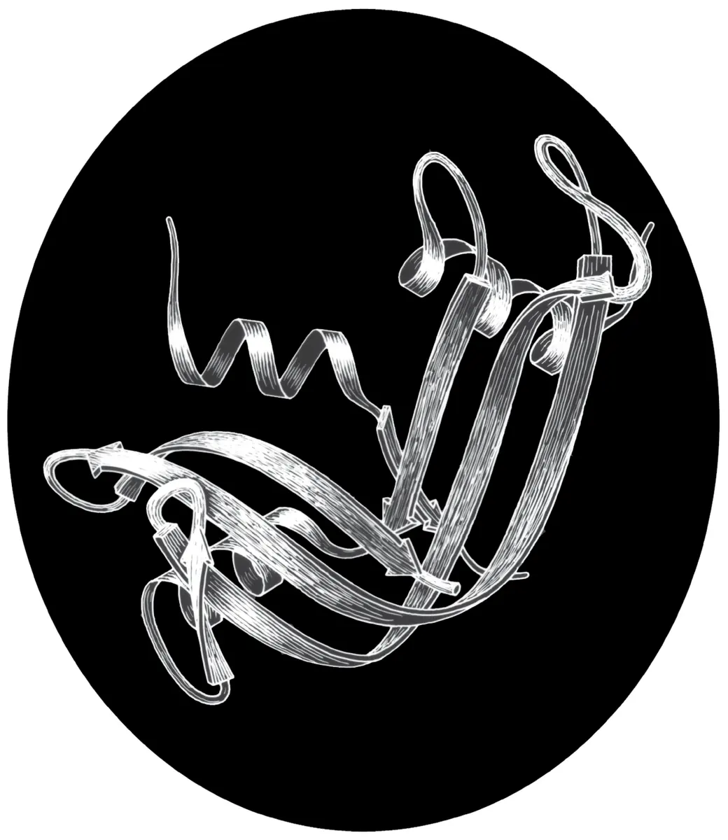 A white drawing on a black oval: a long ribbon that twists into a spiral at the top left and folds into several flat strands lying side by side, with arrows showing the direction of the chain