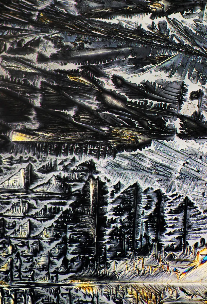 Gray, feathery, fern-like crystal growths packed together, with a few glints of gold and blue