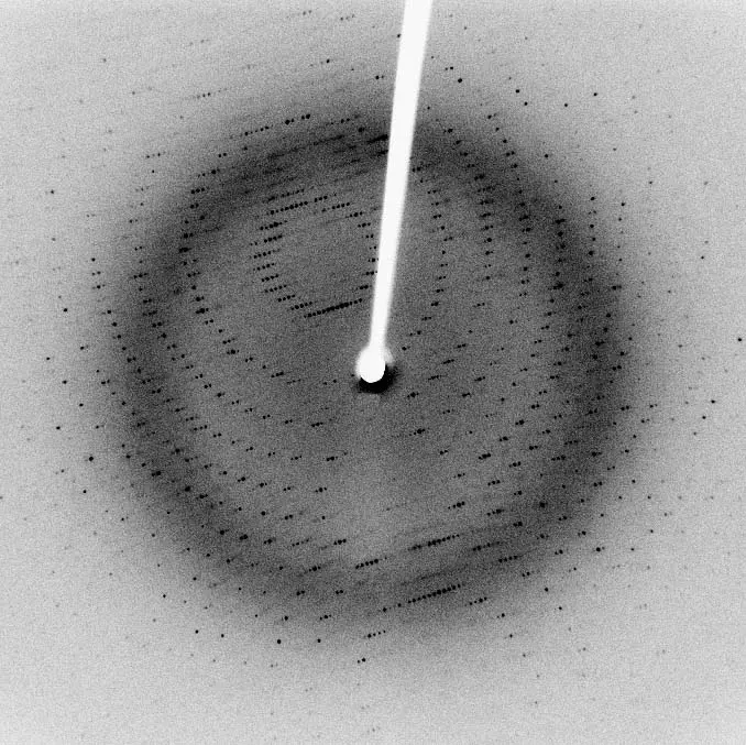 A gray square image covered with hundreds of small black dots arranged in curved rows and rings, with a white rod reaching to a white spot in the middle