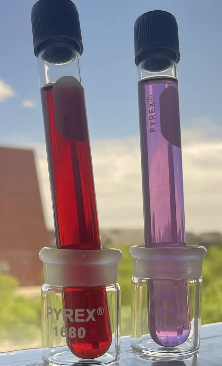 Two glass tubes with black caps standing on a windowsill: the left one filled with a deep red liquid, the right one with a pale purple liquid