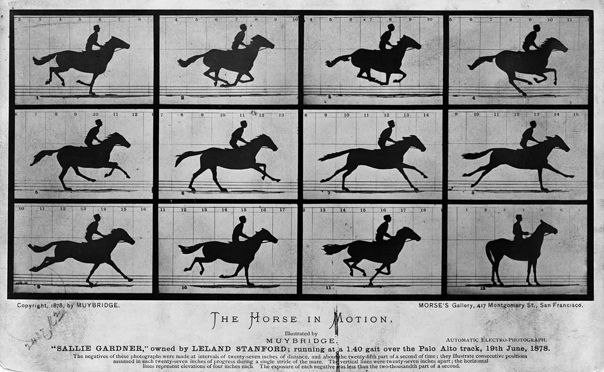 Twelve small black-and-white photographs of a horse and rider galloping past, in three rows, showing the horse’s legs at each stage of a stride