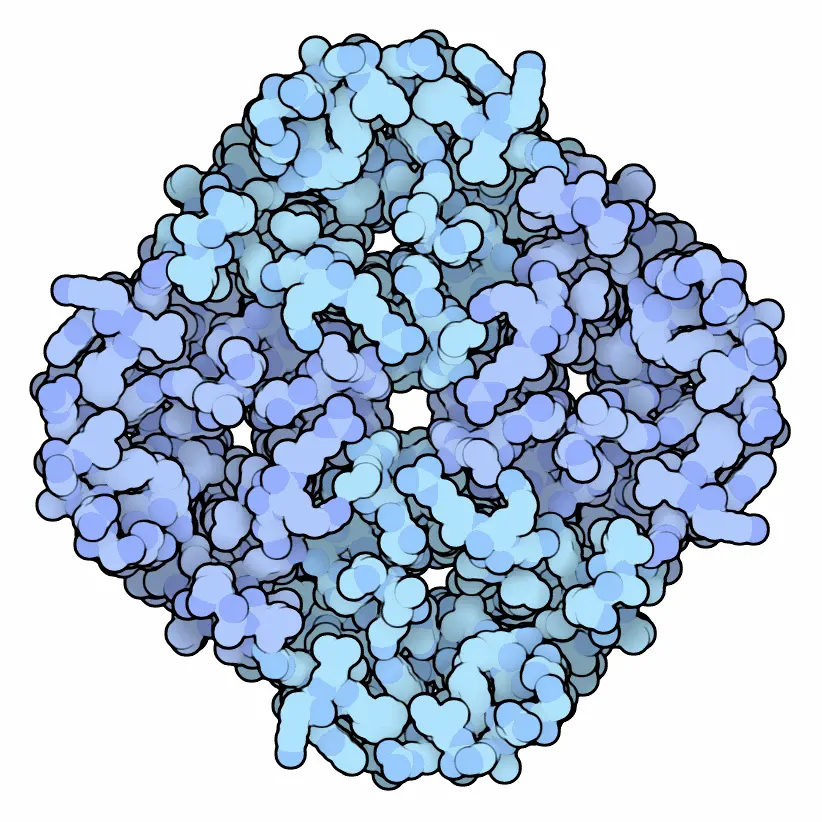 A roughly square cluster of light blue blobs, each blob an atom, with four small holes in it