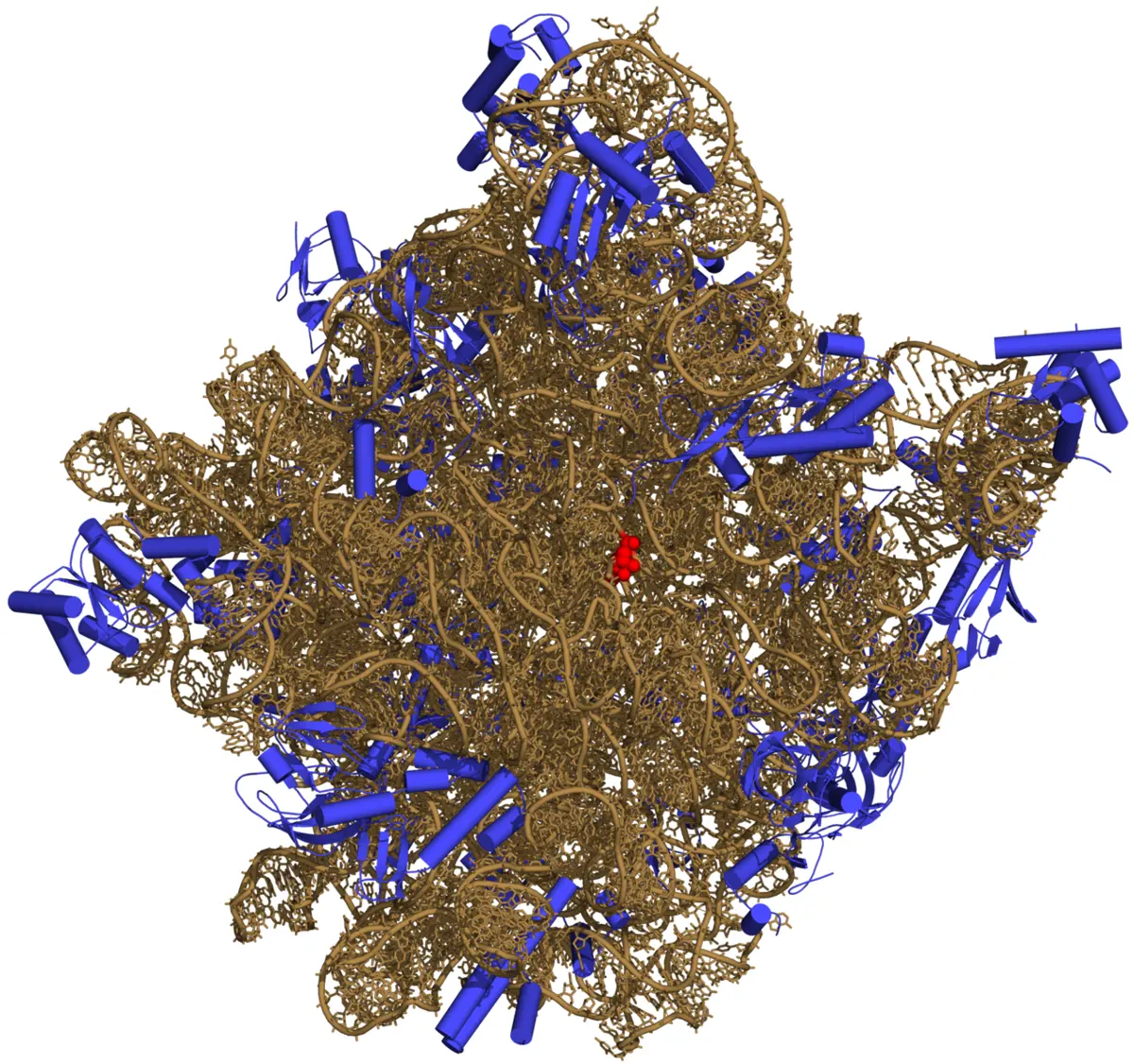 A dense tangle of brown ribbon-like strands, with short blue spiral pieces scattered around its edges and one small red spot near the middle, on a black background