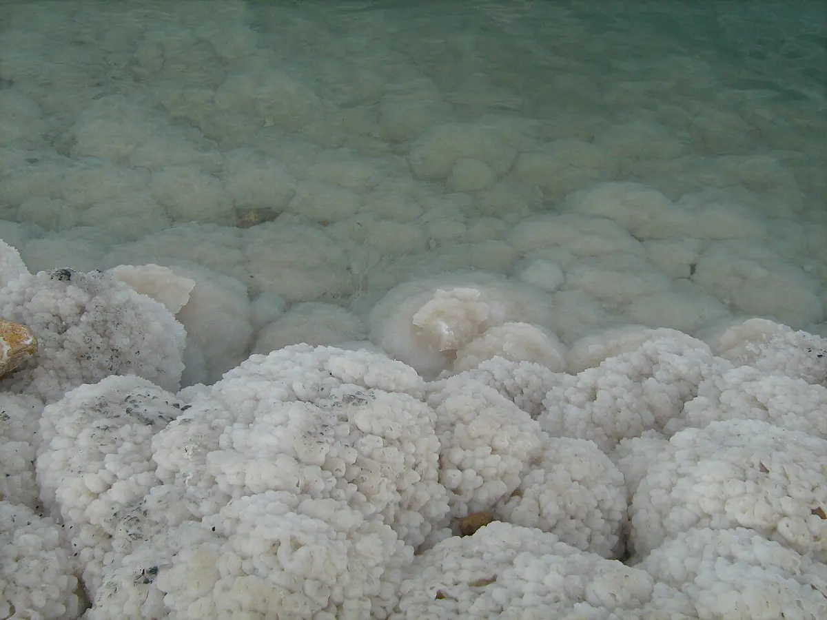 Rounded white lumps of salt crusted over stones at the edge of calm green water