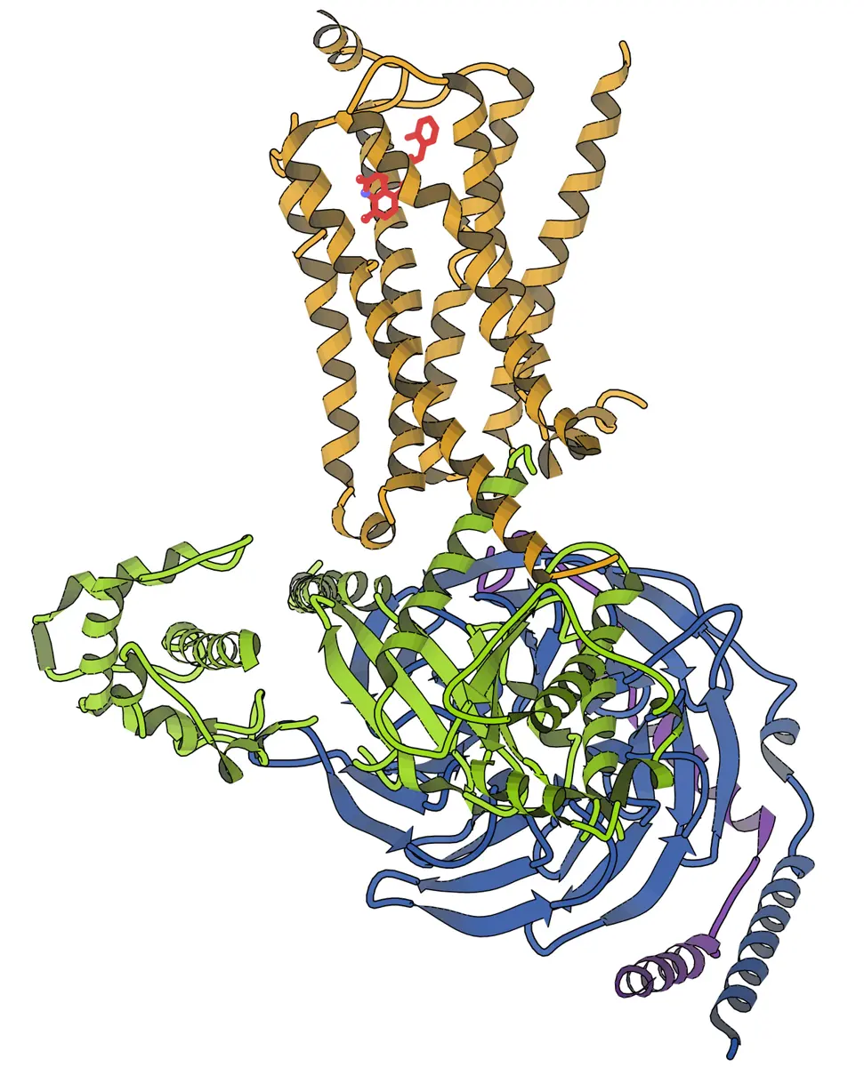A computer drawing of a molecule: seven gold coils standing side by side at the top, with a red stick-shaped molecule among them, sitting on a big tangle of green, blue and purple coils and ribbons below