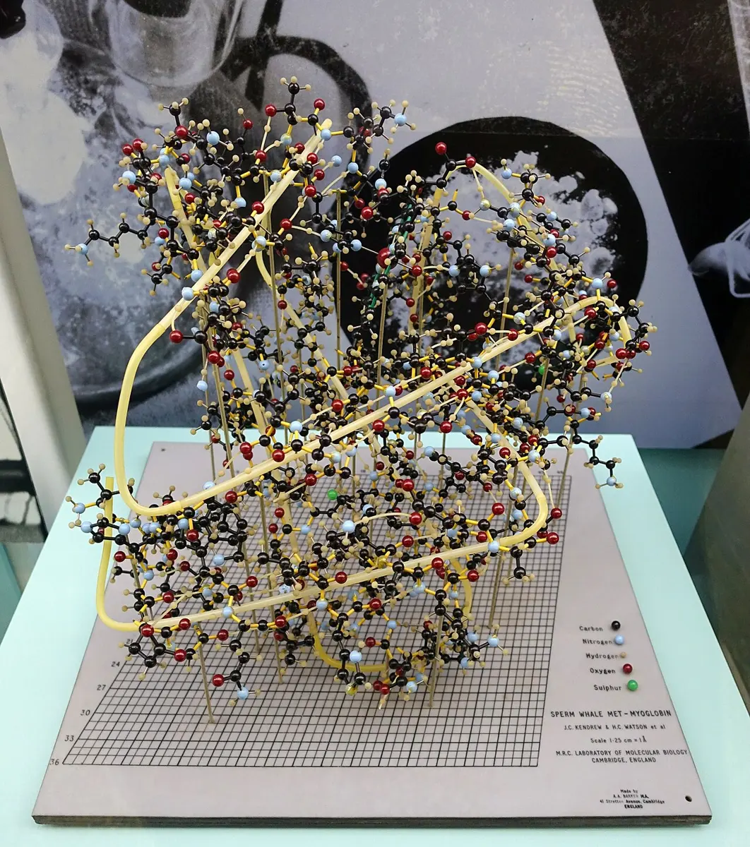 A model made of hundreds of small colored balls, black, red, white and blue, joined by short sticks and held up on thin rods above a squared base, with a yellow tube winding through it