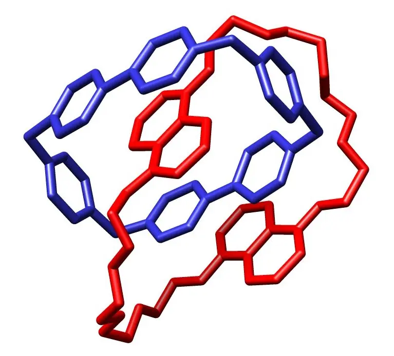 A drawing of a molecule as colored sticks: a blue ring made of six-sided rings of atoms, linked through a red ring like two links of a chain