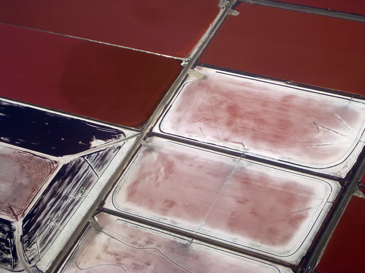 Seen from above, large rectangular ponds separated by thin dykes: some filled with deep red water, one dark purple, and others pale pink with a white crust of salt