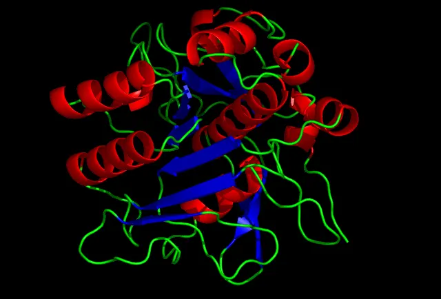 A computer drawing of a protein on a black background: red spirals, blue flat arrows and thin green loops packed together into a rough ball