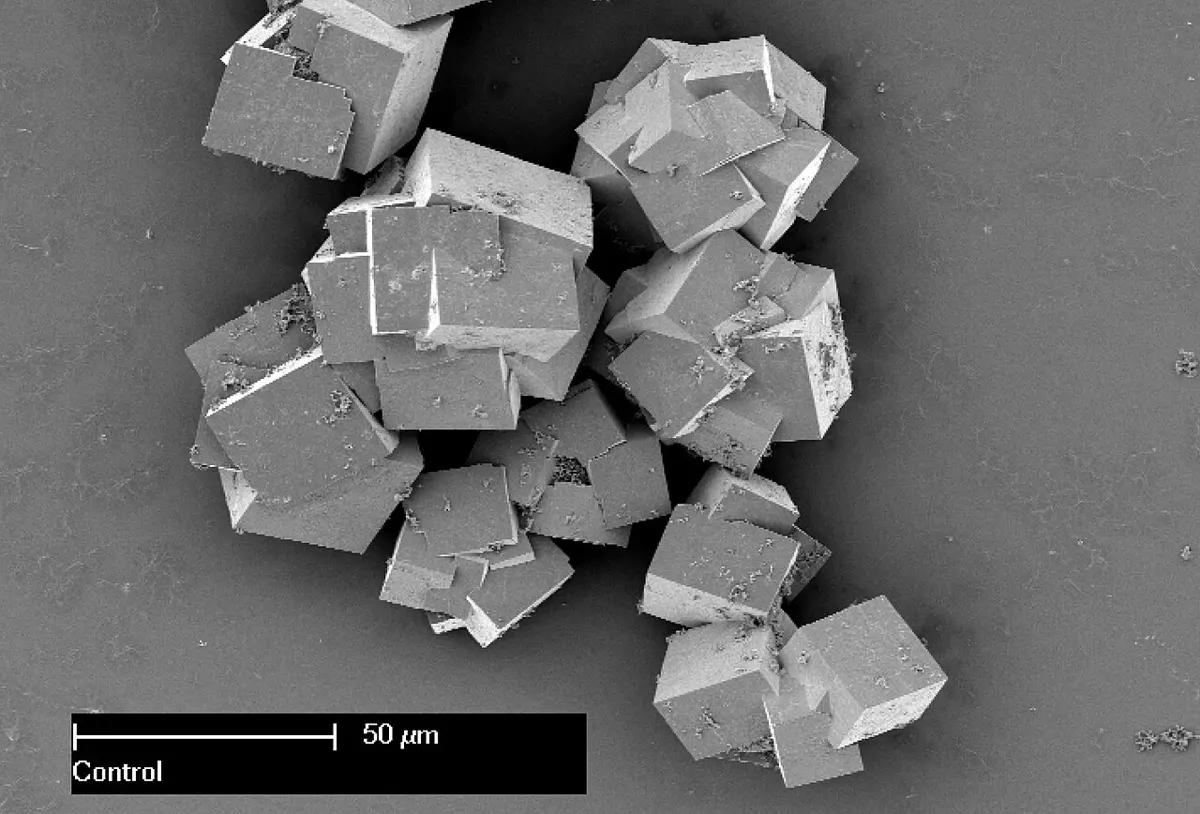 A black-and-white electron microscope picture of a cluster of small cube-shaped crystals with sharp edges, some grown into each other, with a scale bar labeled 50 micrometers