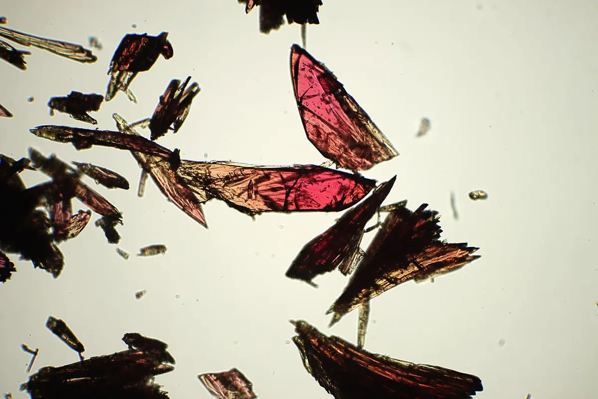 Thin, sharp-edged crystal flakes in shades of dark red and brown, scattered on a pale background, seen through a microscope