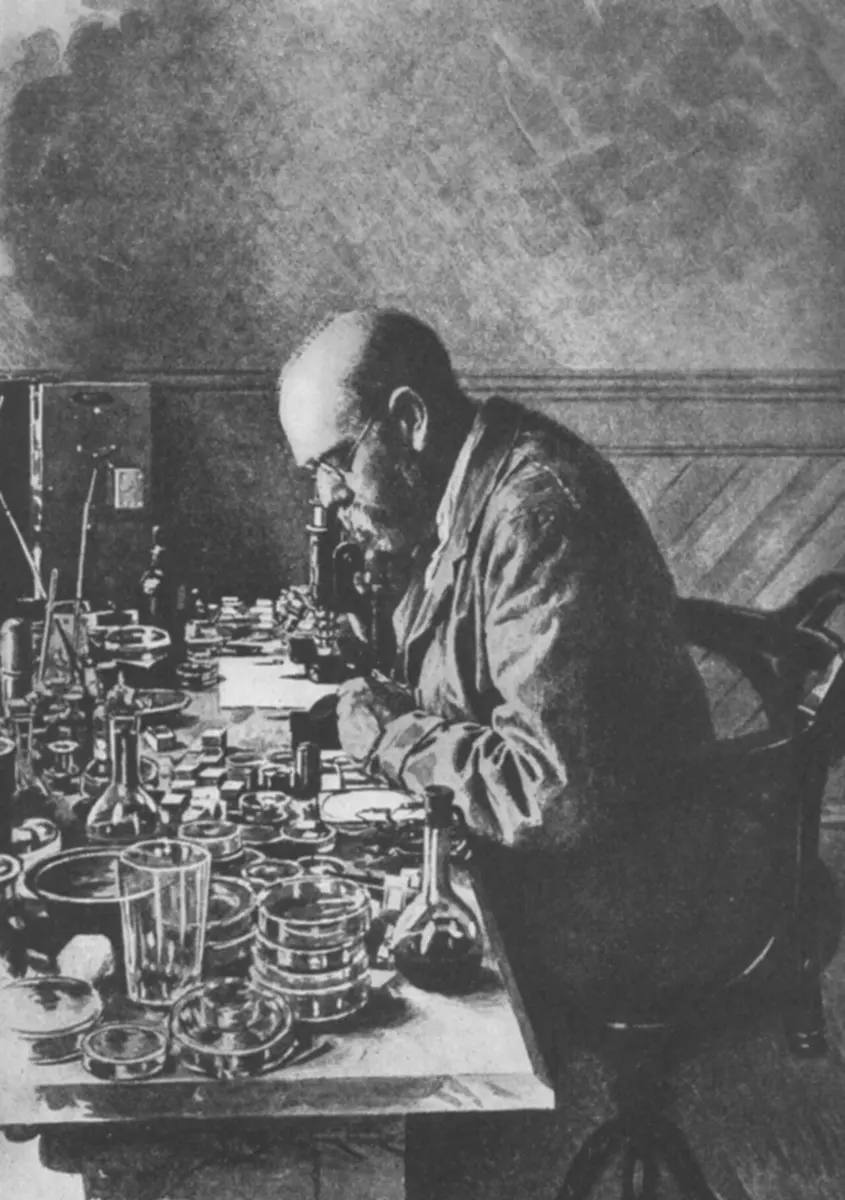 An old black-and-white print of a bearded man in a jacket bending over a microscope at a long laboratory bench crowded with stacks of round glass dishes, flasks and bottles