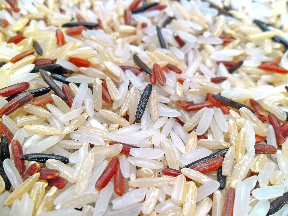 A close-up of a heap of mixed rice grains: shiny white grains, pale brown grains, reddish-brown grains and thin black grains