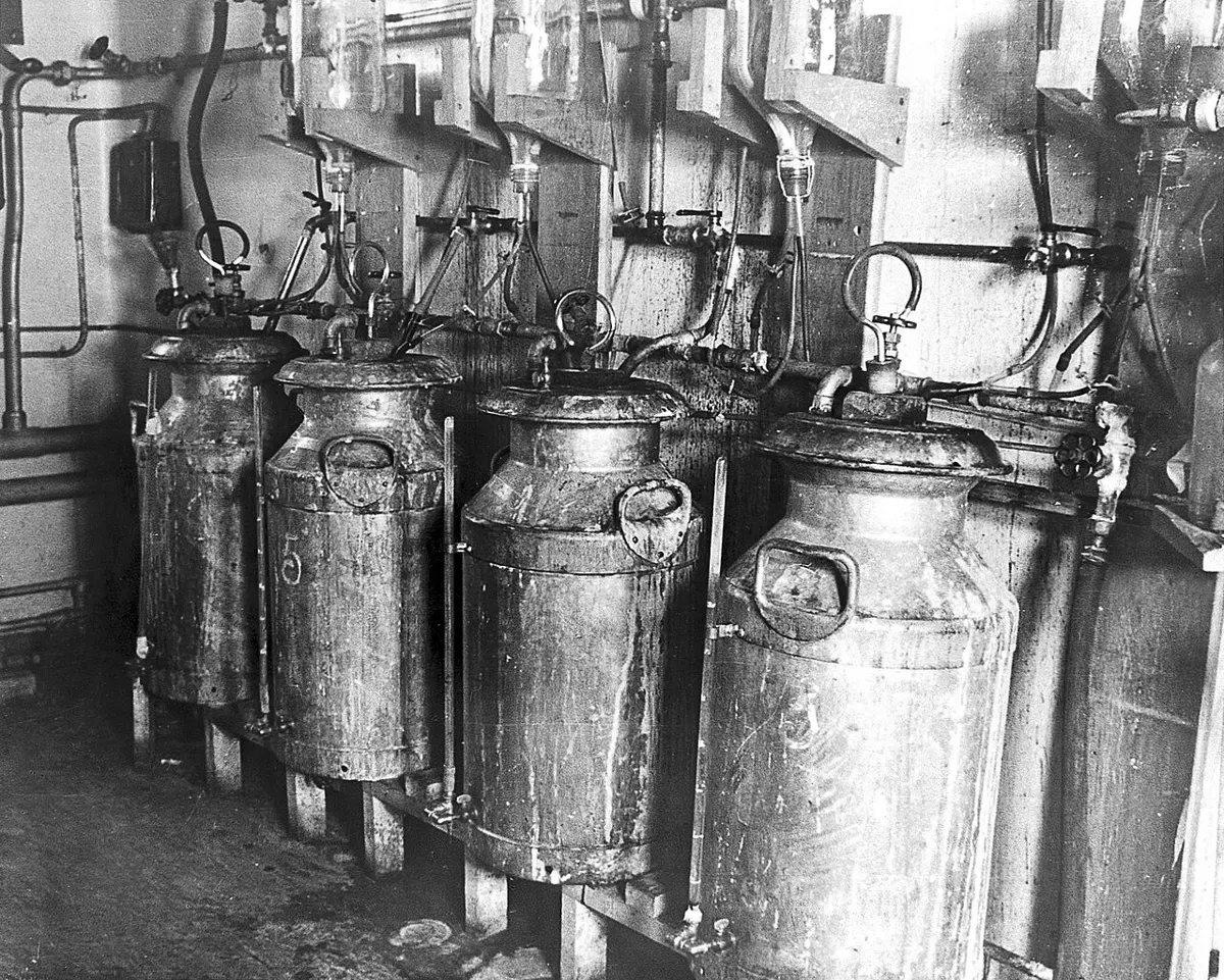 A row of metal milk churns standing on a floor, joined to one another by pipes and taps