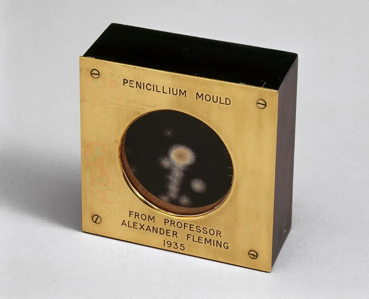 A small brass-fronted box with a round window showing a dried patch of mold, engraved: Penicillium mold, from Professor Alexander Fleming, 1935