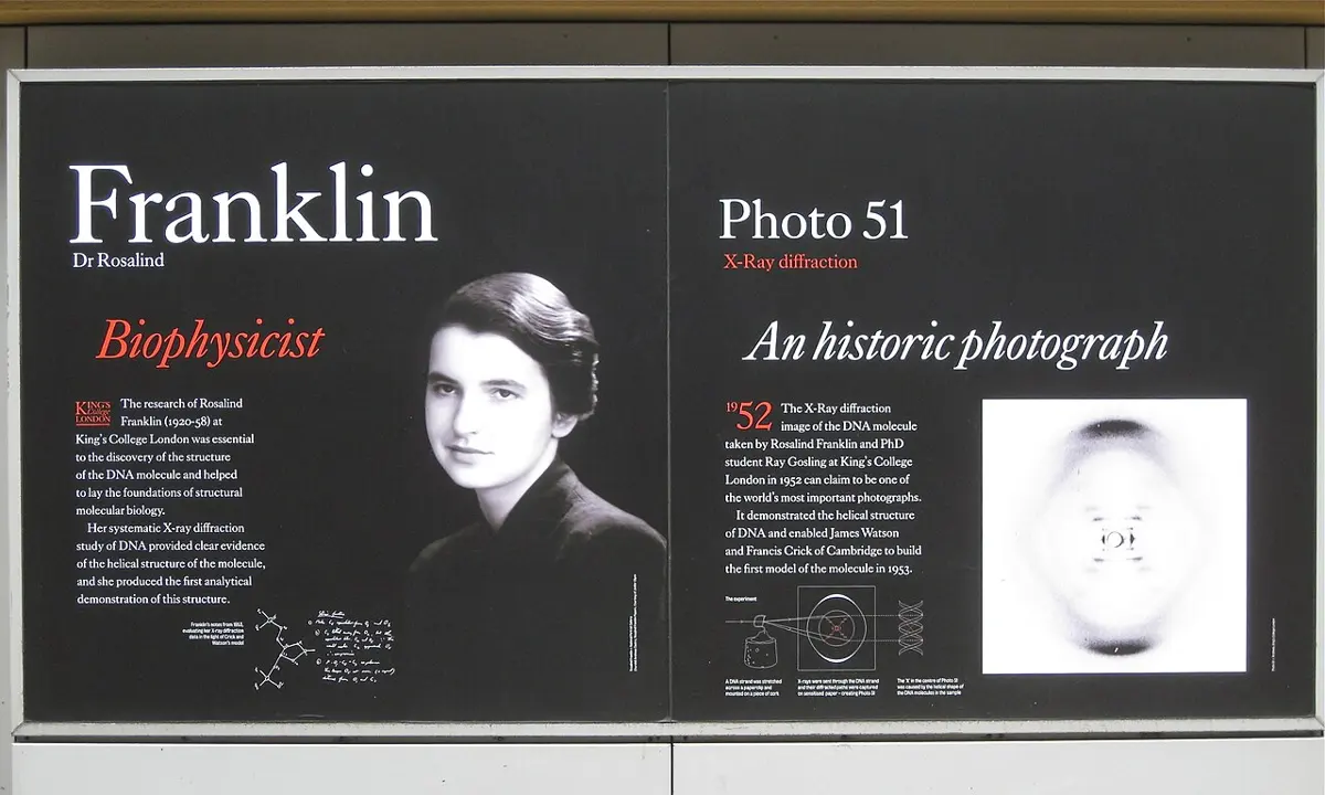 A display board outside King’s College London with a photo of Rosalind Franklin on the left, and on the right Photo 51: a pale X-shaped pattern of dark smudges on a white background, under the words An historic photograph