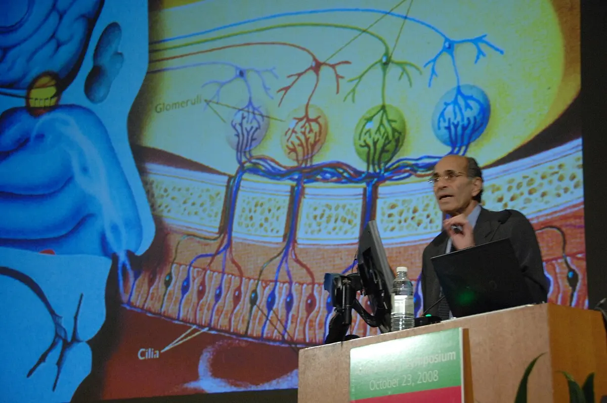 A man speaking at a lectern in front of a large colored drawing of nerve cells: rows of cells at the bottom send colored fibers up to round knots labeled Glomeruli