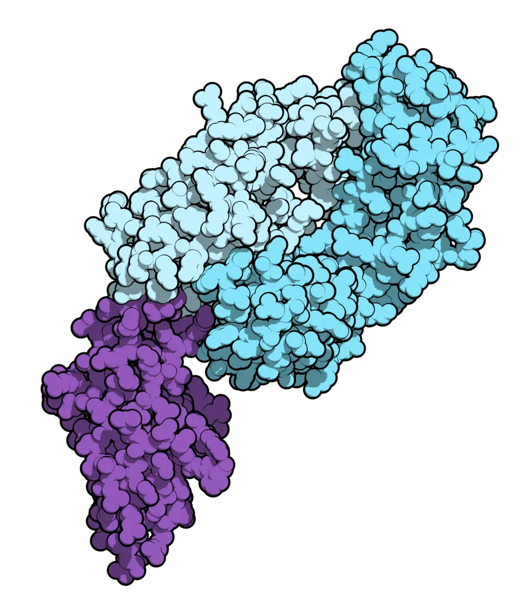 A computer model made of tightly packed balls: a large lump in light and darker blue, with a smaller purple lump attached at its lower left