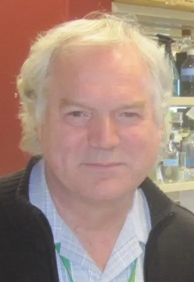 Michael Houghton