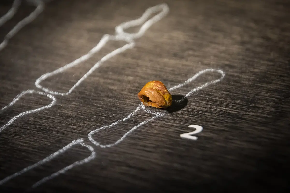 A tiny brownish piece of bone, smaller than a fingernail, lying on the tip of a finger drawn in white chalk on a dark table