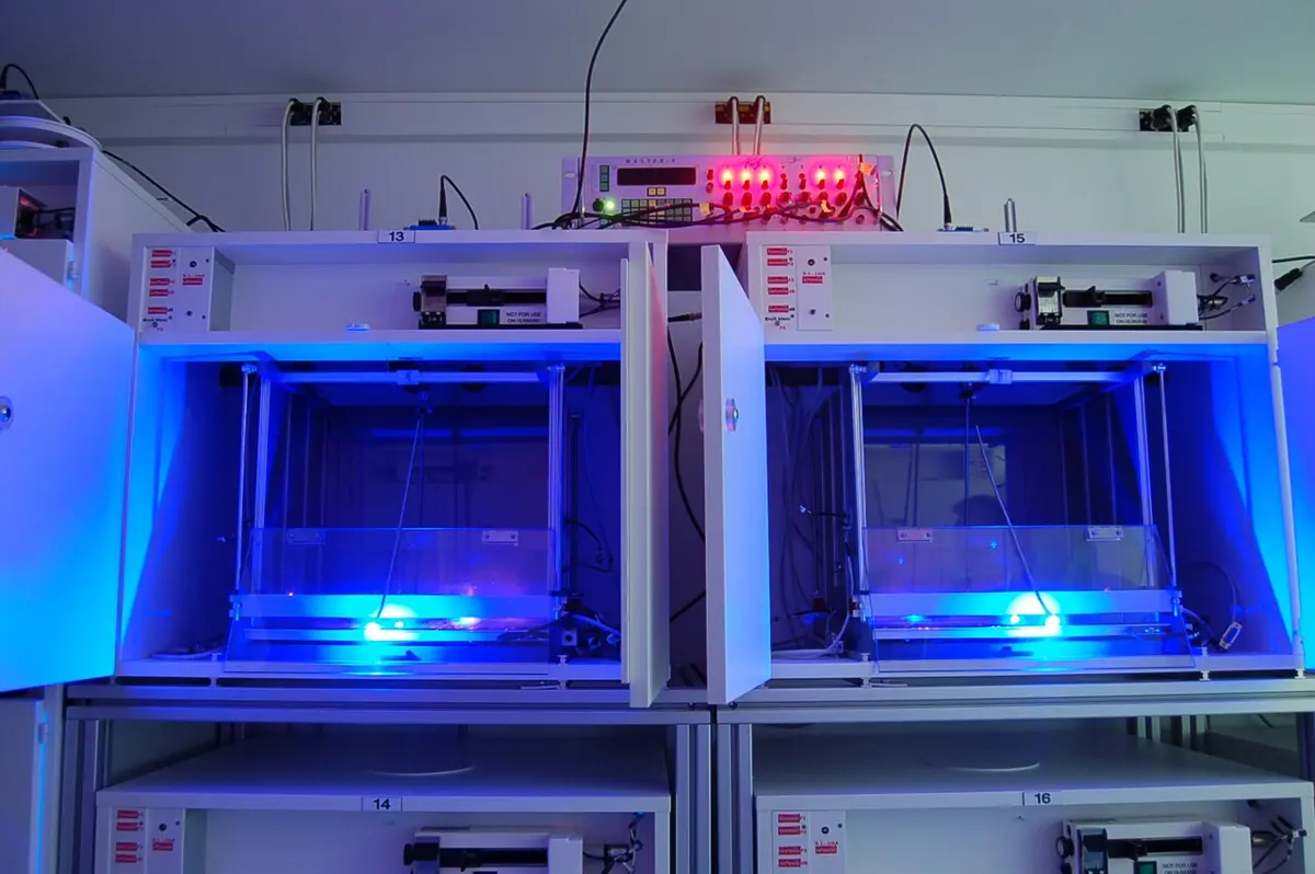 Two white boxes with open doors in a laboratory, each with a clear plastic cage inside lit by bright blue lights, with cables hanging down from above and a control panel with red lights on top