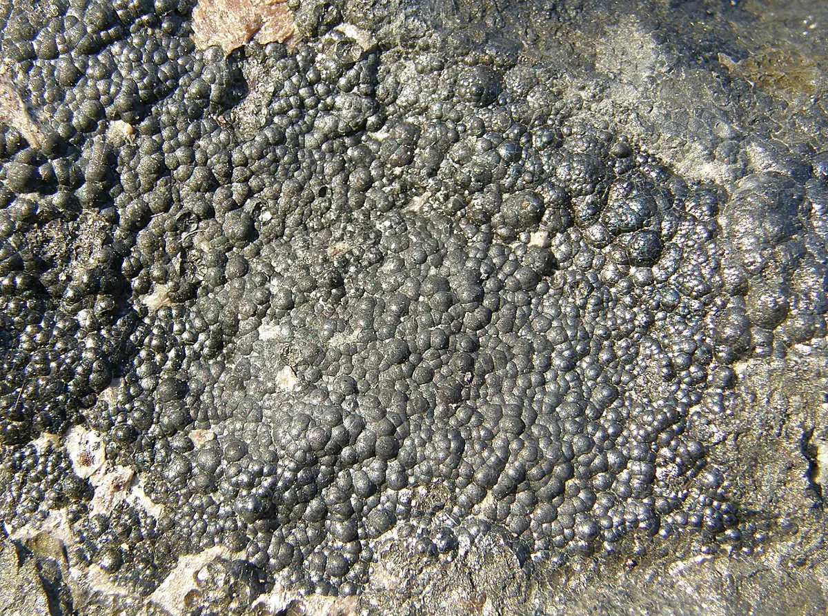 Close-up of a black rock surface covered in small rounded bumps, with a dull metallic shine