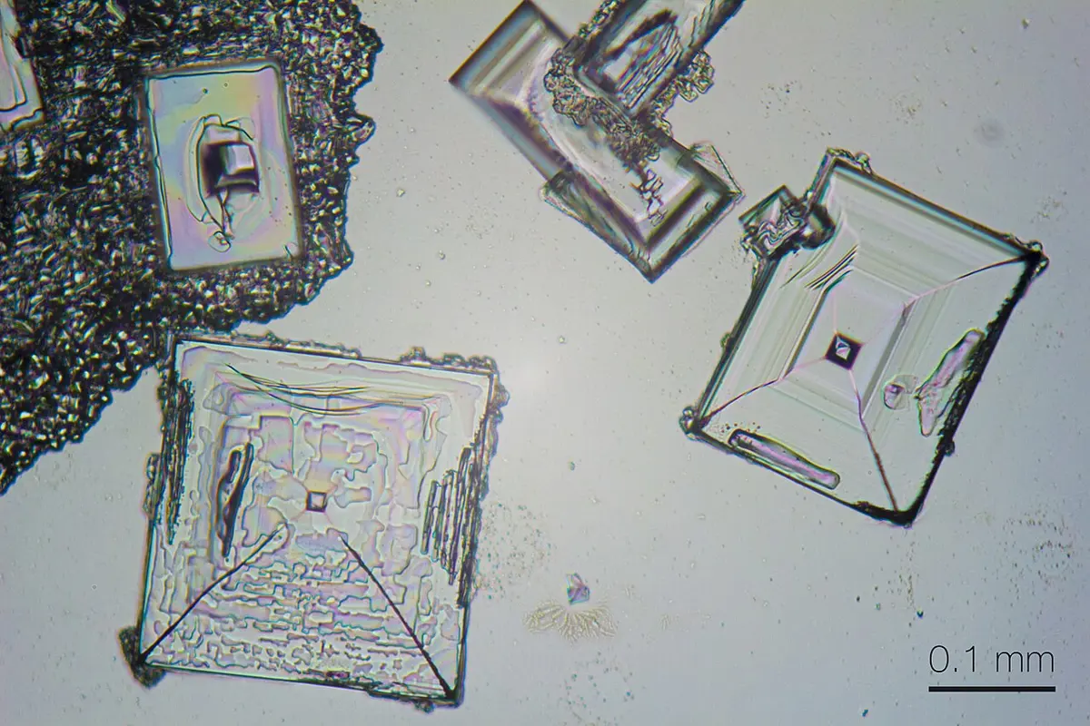 Several square, flat salt crystals seen through a microscope, each with stepped edges sloping in towards a small square hole in the middle, with a scale bar of 0.1 mm