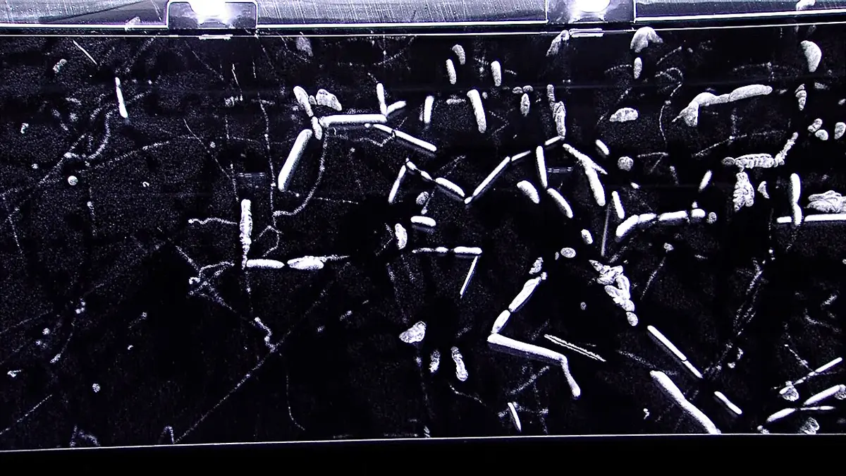 A dark chamber filled with many short, thick white streaks pointing in all directions, and fainter thin curving lines between them