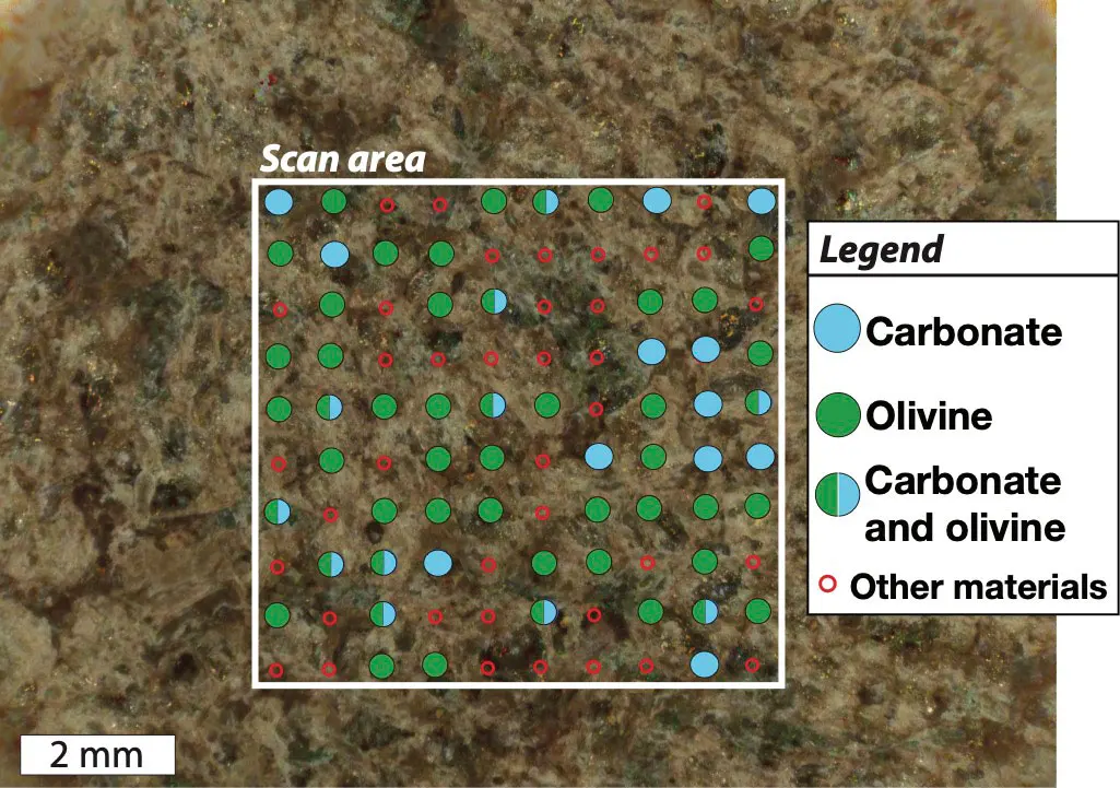 A close-up of a ground-down patch of brownish rock with a square scan area marked on it, covered in a grid of dots: blue for carbonate, green for olivine, half-and-half for both, small red rings for other materials; a scale bar shows 2 mm