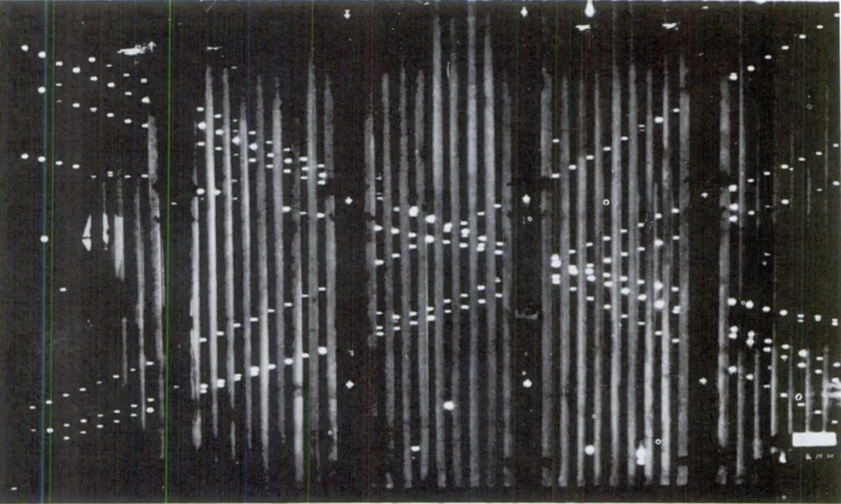 A black-and-white photograph: many pale vertical bands side by side, with rows of small white dots between them