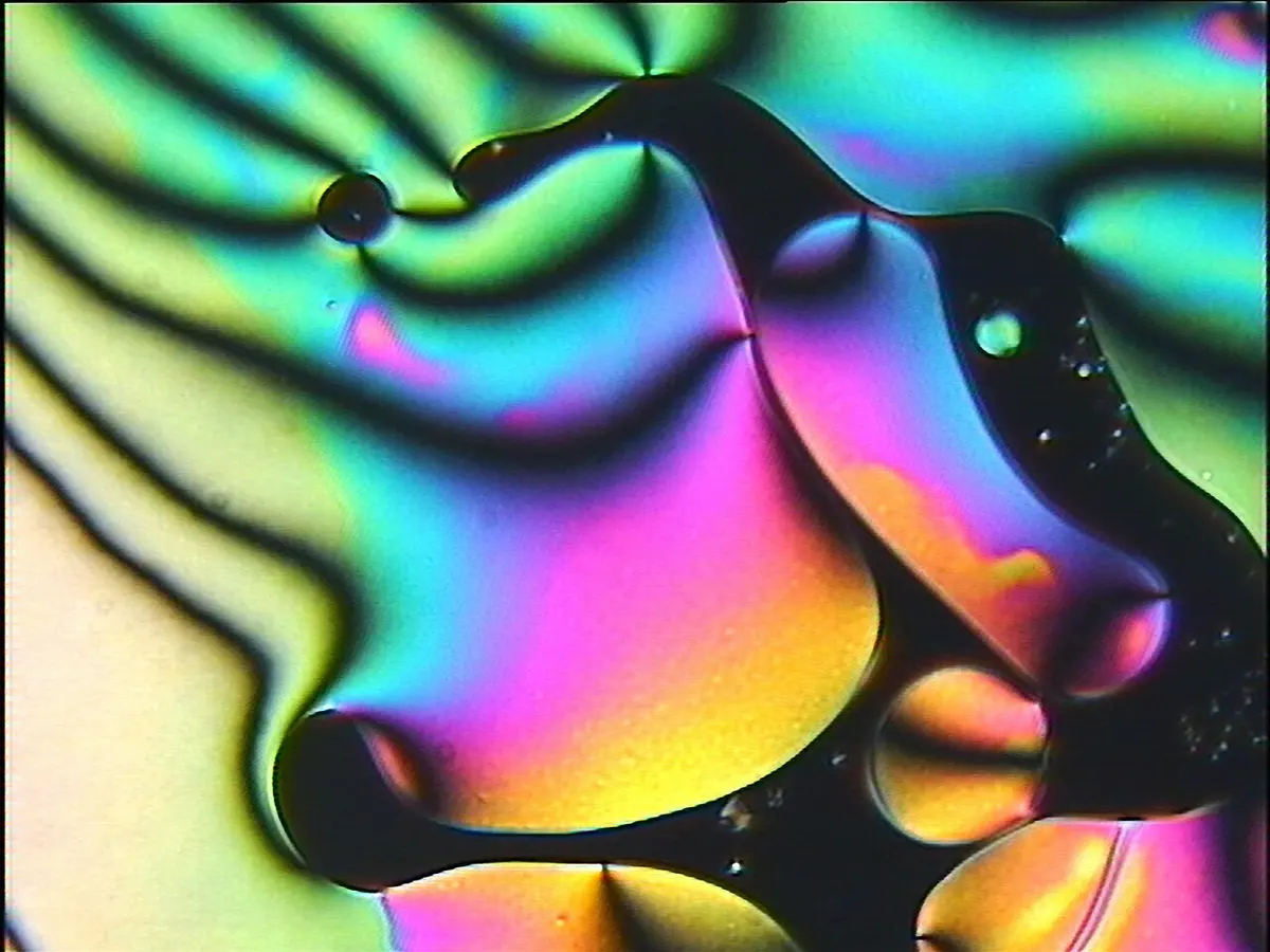 A microscope picture full of bright, swirling colors: bands of green, blue, pink, purple and yellow, crossed by dark curving brushes that meet at a few points, with some round dark blobs.