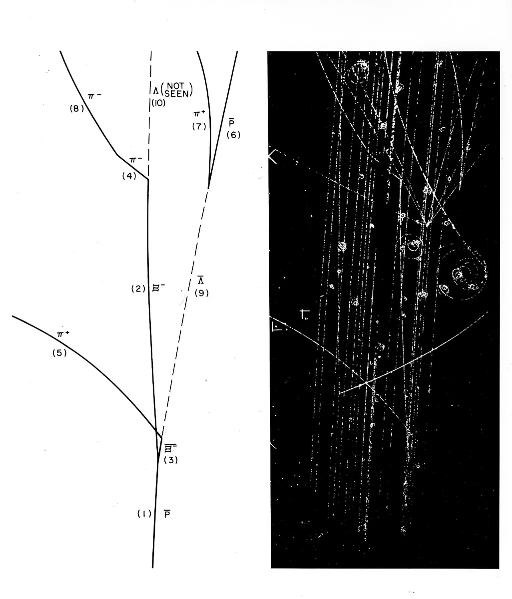 Two panels. Right: a black photograph full of thin white bubble trails, mostly long parallel lines, with a few curves and small spirals. Left: a line drawing that picks out the tracks of one event, numbered and labeled, some solid and some dashed