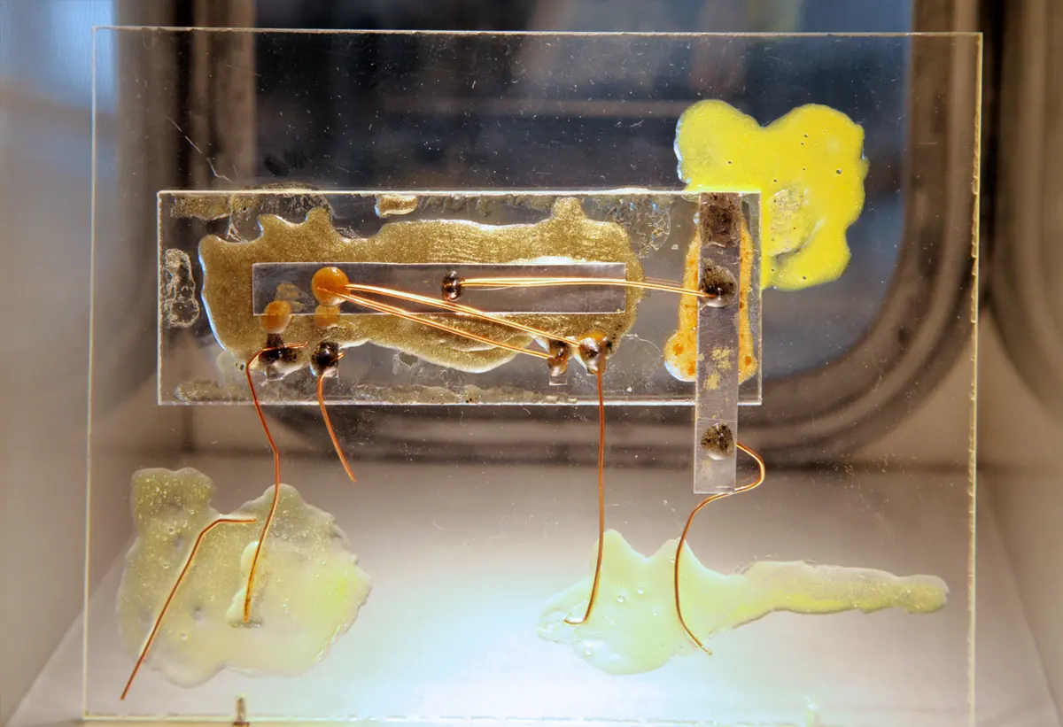 A museum display: on a small clear glass plate lies a thin brownish strip with tiny dark dots on it, held down by blobs of yellow wax. Thin copper-colored wires loop from the dots across the strip and down to the base.